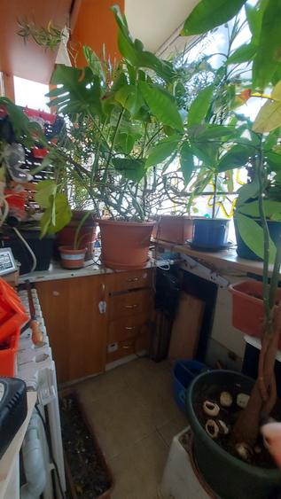Apartament cu 4 camere decomandat în Vitanul Nou