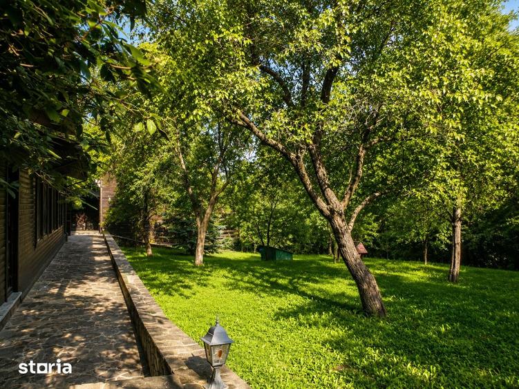 Mountain Chalet | Private Resort | Investment - Nistoresti - 5