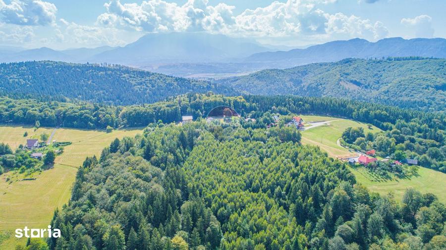 Teren de 7083 mp, în Poiana Mărului