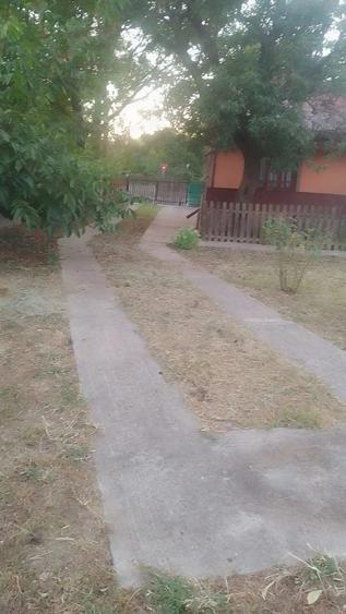 Casă cu 3 camere cu Teren 1160 Mp în Axintele