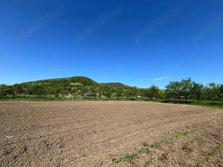 Teren de 1500 mp, în Bejan