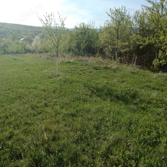 Teren de 7700 mp, în Dumbrăveni