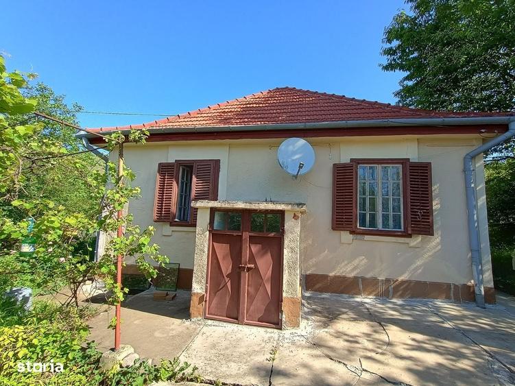 Casă cu 4 camere cu Teren 6000 Mp în Central