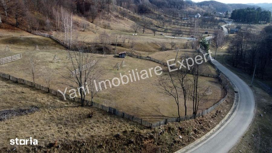 Teren de 4681 mp, în Cicănești