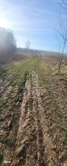 Teren de 5000 mp, în Almaș