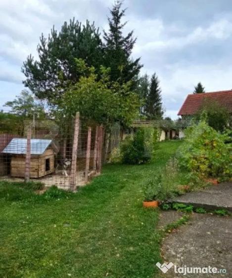 Casă cu 6 camere cu Teren 3000 Mp în Barcani