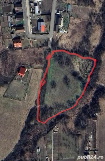 Teren de 5000 mp, în Uricani