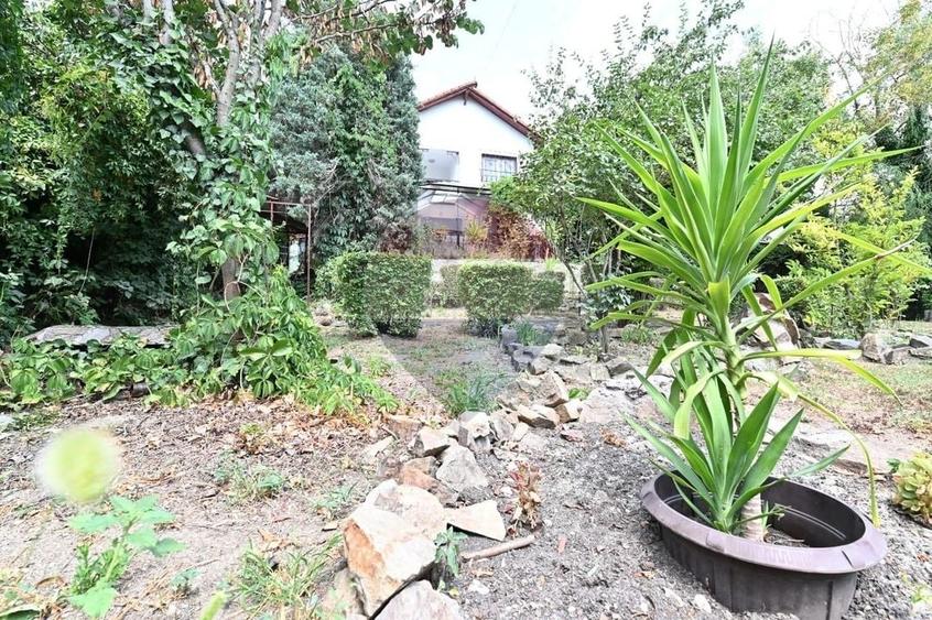 Casă individuală cu 6 camere cu Piscina în Leamna de Sus