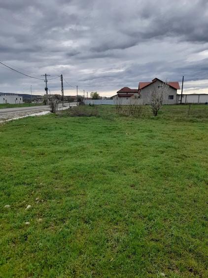 Teren intravilan - 9