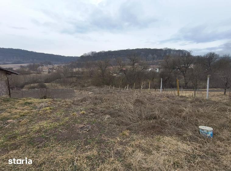 Teren de 1100 mp, în Ceuaș