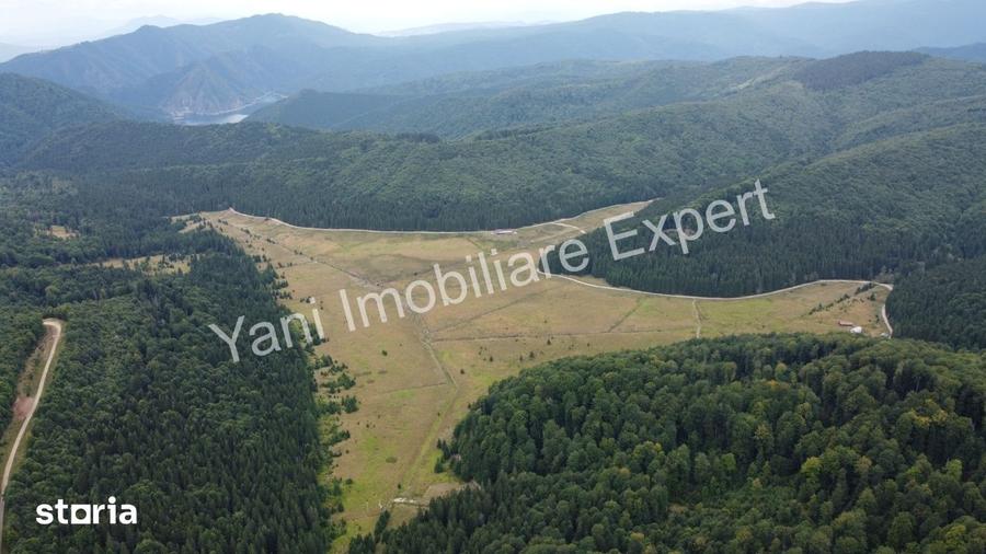 Teren de vanzare pe Transfagara?an, zona Molivi?u ( 69.450 mp ) - 15