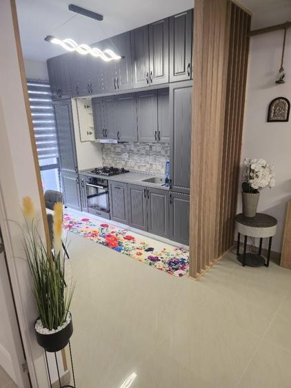 Apartament cu 2 camere decomandat în Ostroveni