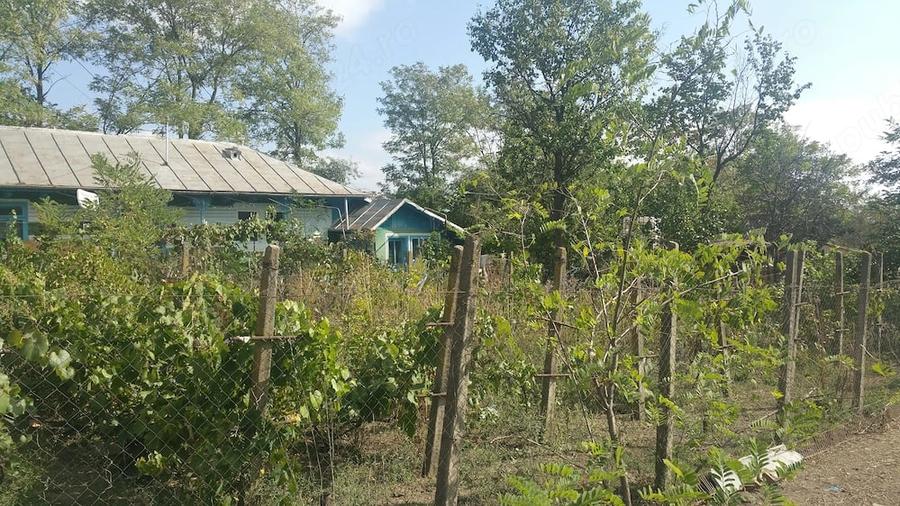 Casă cu 3 camere cu Teren 8000 Mp în Stuhuleț