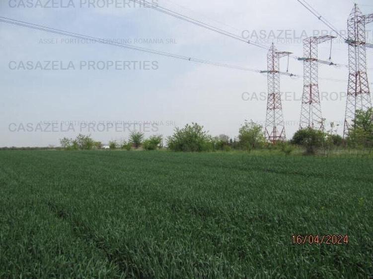Teren agricol extravilan de 2000 mp, în Frumușani