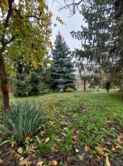 Casa de vacan?a, teren 1000 mp, parau la limita proprie - 6