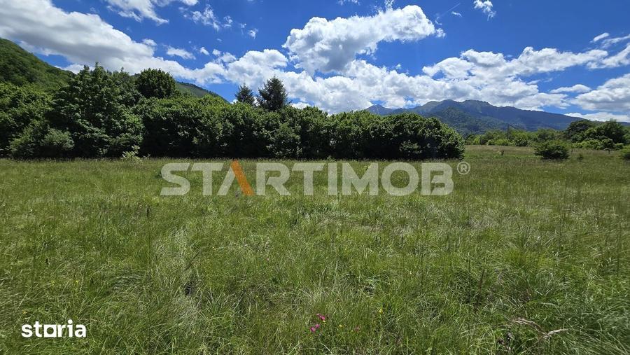 Teren de 5000 mp, în Glăjărie