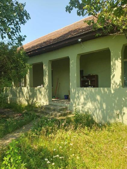 Casa de inchiriat/ Casa de vanzare - 1