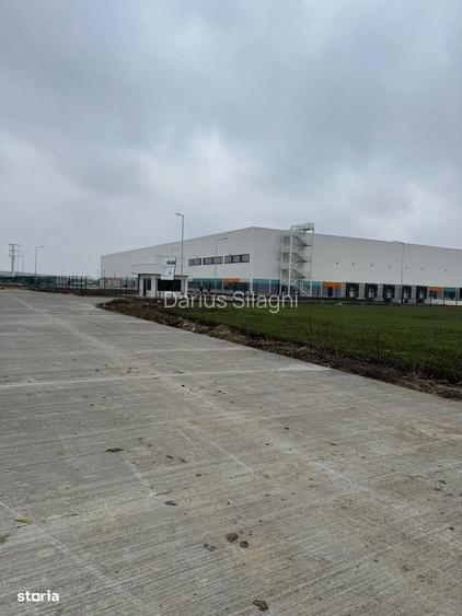 Teren intravilan Calea Sagului 10.000 mp