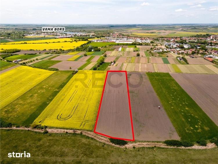 Teren de 13400 mp, în Borș