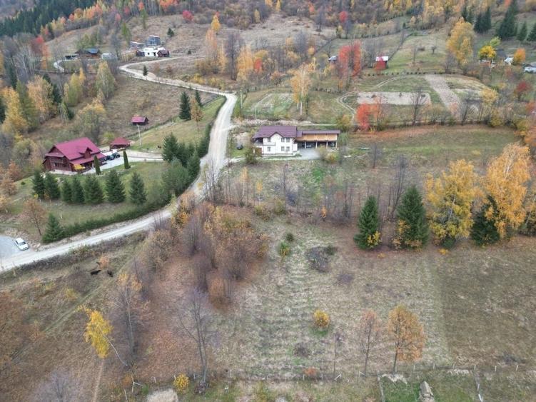Teren de 2400 mp, în Borșa