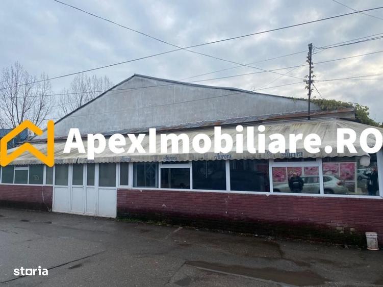 Hale Industriale de Vanzare Baicoi 1100 mp + 800 mp, teren 5500 mp - 1