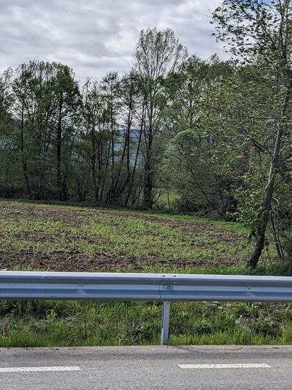 Teren în Copăcel