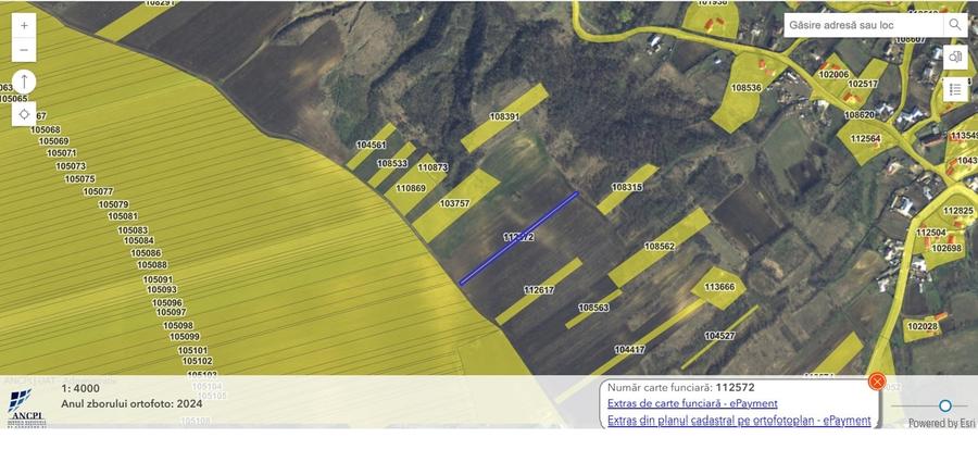 Teren agricol extravilan de 41850 mp, în Cavadinești