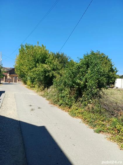 Teren de 800 mp, în Central