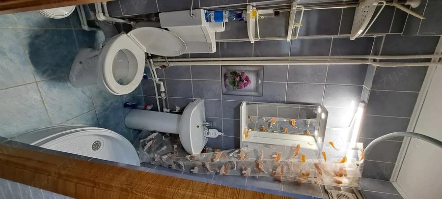 Garsonieră decomandată în Dunărea