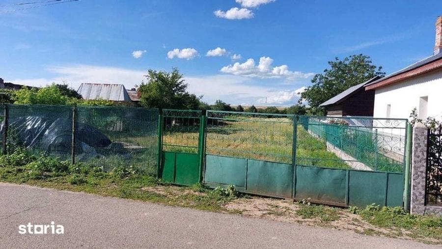 Vanzare teren Pielesti, jud.Dolj - 2