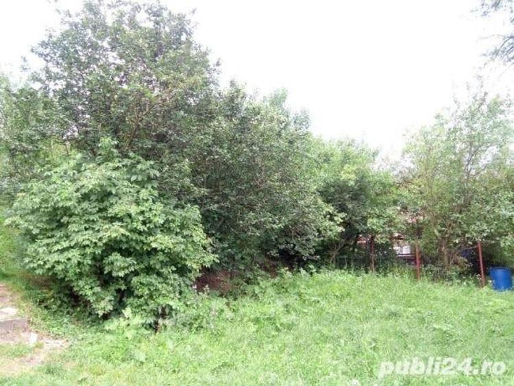 Teren de 3200 mp, în Câmpina