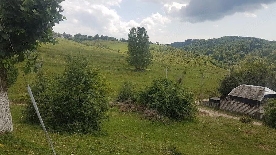 Teren de 1700 mp, în Pietroșița