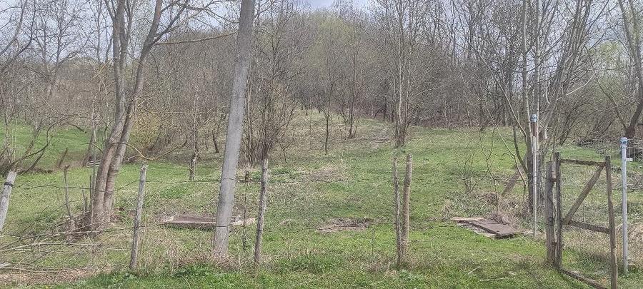 Teren de 2500 mp, în Central