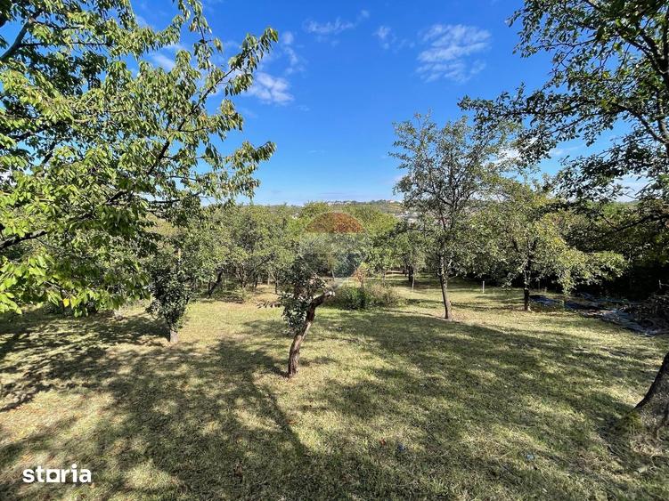 Teren de 2500 mp, în Central