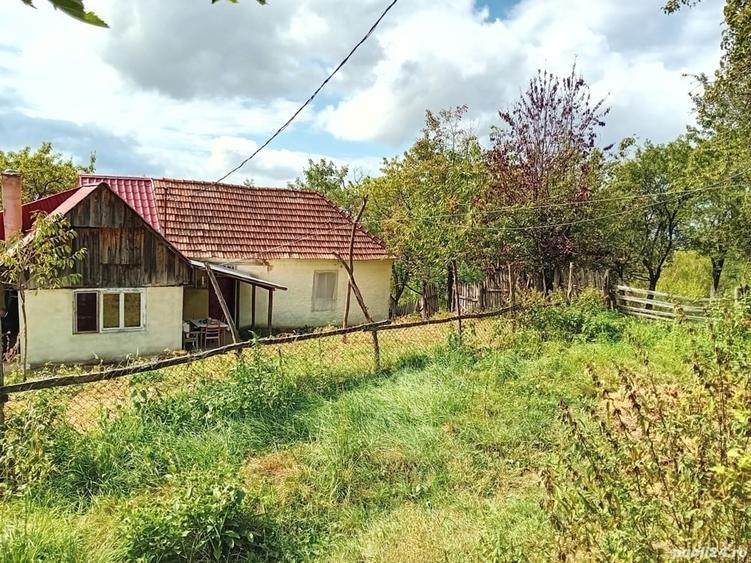 Teren de 50 mp, în Central