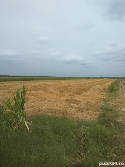 Teren de 3600 mp, în Moara Vlăsiei