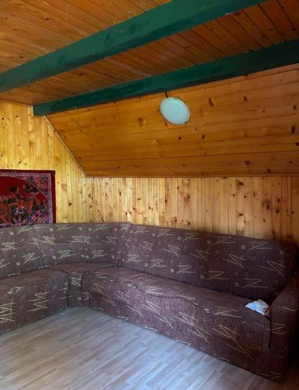 Casa individuala + cabana cu teren generos de vanzare - 4