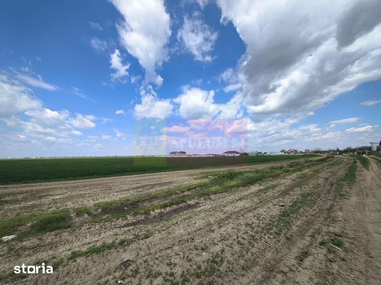 Teren de 12450 mp, în Cernica