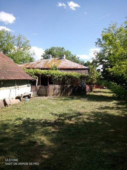 Casa de vanzare in Merii Petchii, Nuci, jud Ilfov - 4