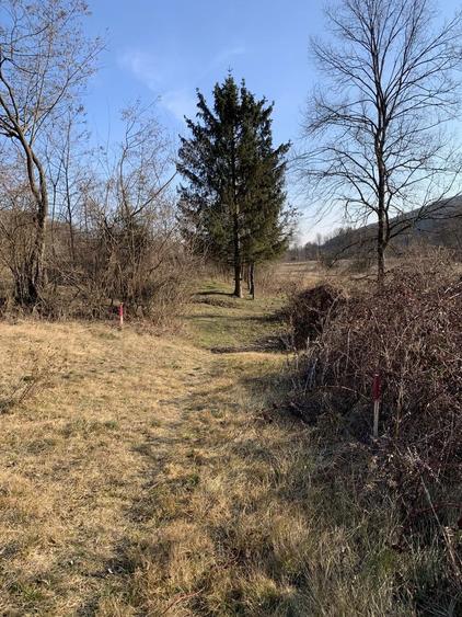 Vand teren retras, deosebit - 7