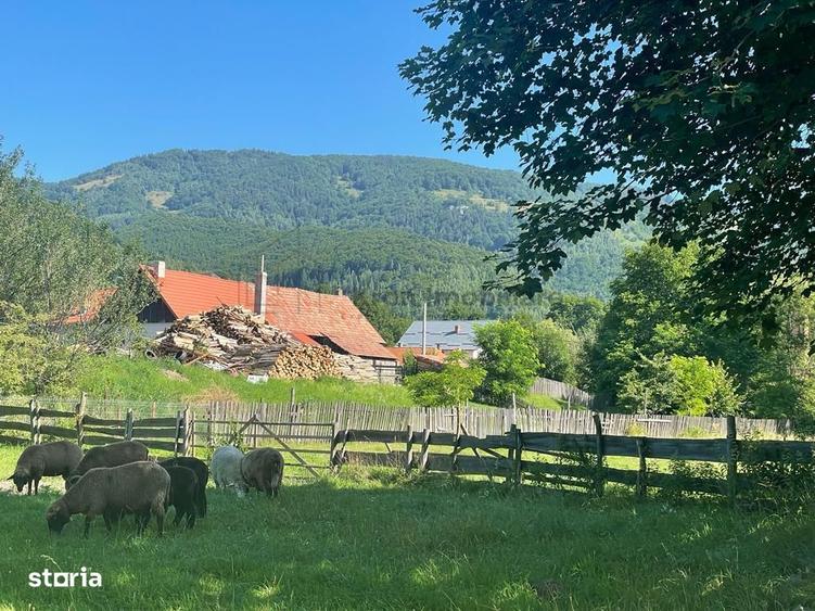 Teren Moieciu de Jos - 7