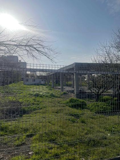 Teren intravilan de vanzare, 2500 mp, Lumina, Soseaua Tulcei - 1