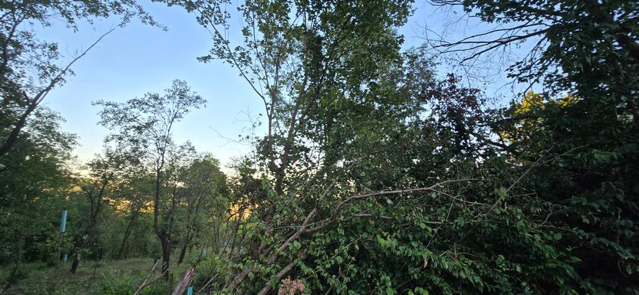 Moreni , Dambovita , vanzare proprietate -casa si teren - 2