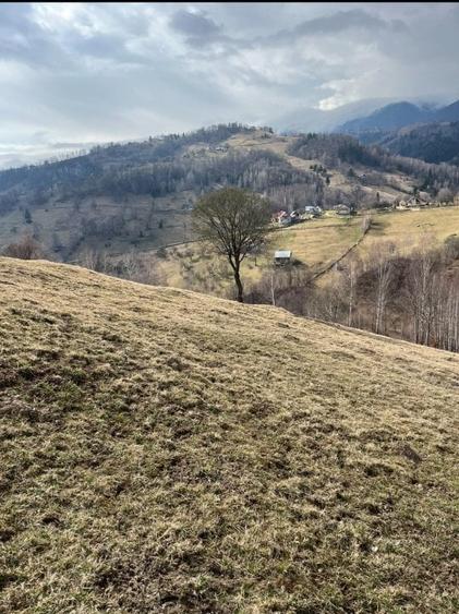 Vanzare Teren cu Punct de Belvedere in Moieciu zona Magura-Pestera - 12