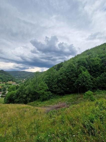 Ocazie! Teren intravilan Bulz-Munteni - 8