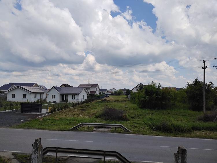 Teren de vanzare aproape de Muzeul Satului Banatean Giarmata Vii - 5