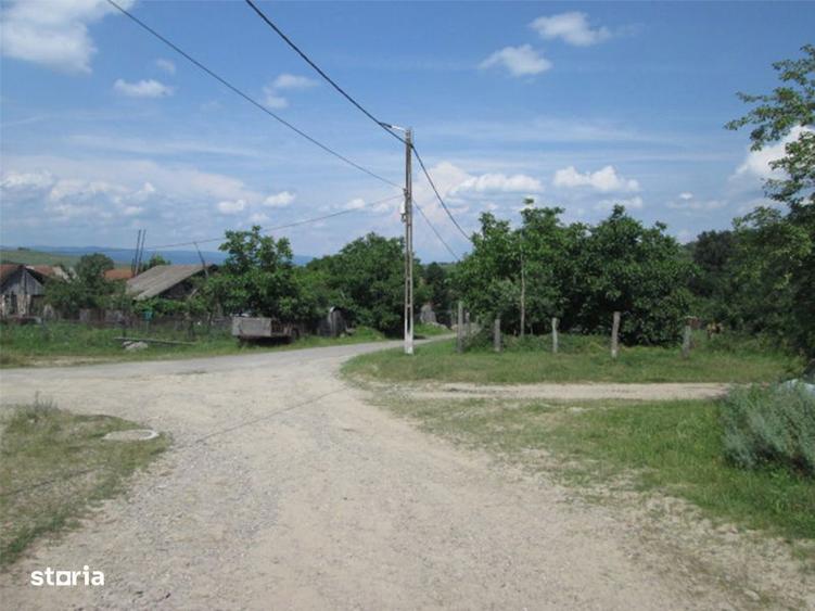 Teren agricol de 12 579 mp si contructii 5 161 mp - 3
