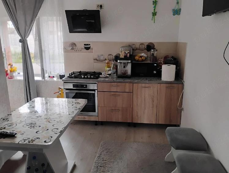 casa 3 camere complet renovata ?i mobilata in sat ianova 17 km de Timi?oara - 2