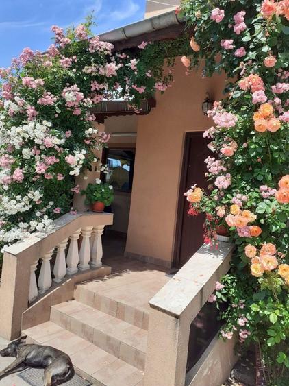 Proprietar vand casa + teren generos in Sabiesti (Racari, Dambovita) - 3