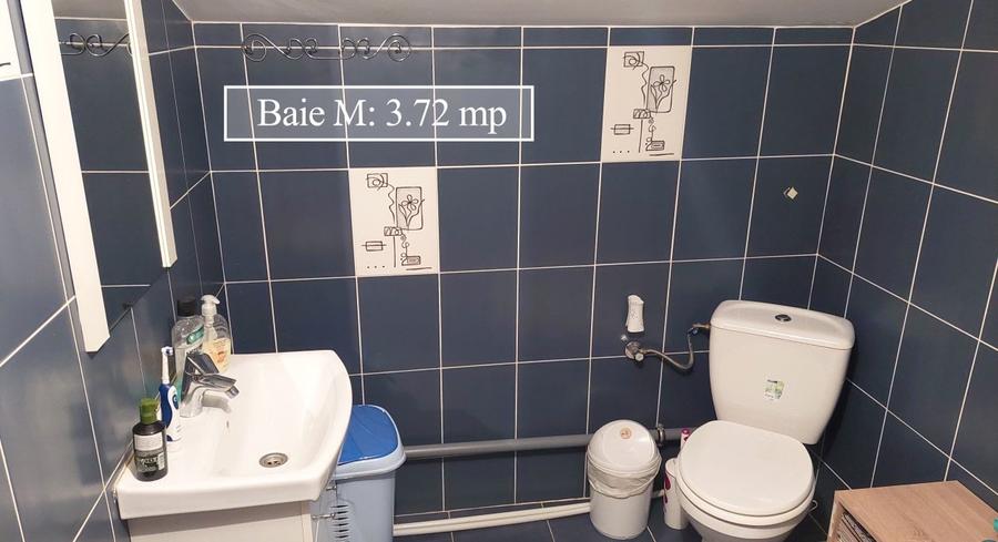 Lumina. Casă P+M, 5 camere, 190 mp utili, 425 mp teren + Spațiu Comercial - 11